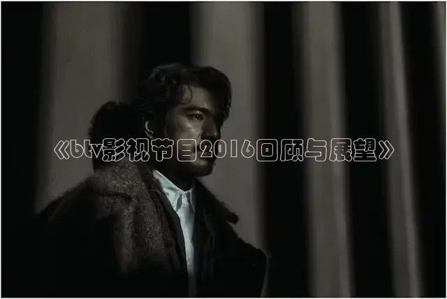 《btv影视节目2016回顾与展望》
