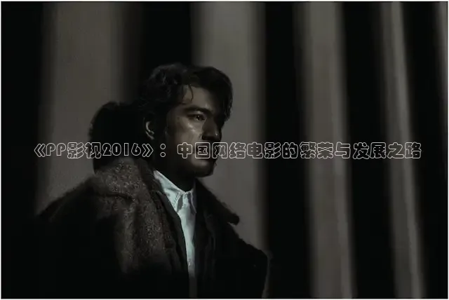 《PP影视2016》：中国网络电影的繁荣与发展之路